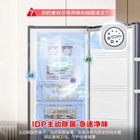 容声 BD/BC-240IDP 双变频 240L 立式冷柜