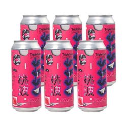 纸飞机酿造 新鲜日期纸飞机国产酿造桃波酸声道无尽夏超个体组合装 6听 桃波473ml 6听 桃波473ml