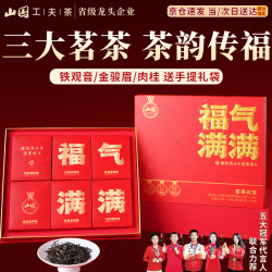 山国工夫茶 三大茗茶组合茶叶礼盒 313g