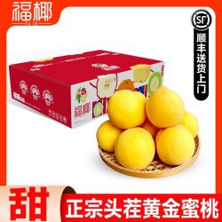 福椰 正宗黄金蜜甜黄桃新鲜水果当季黄毛桃子甜彩箱4.5斤单果150克起