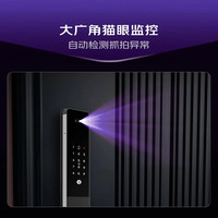 凯迪仕 Q2 FV 3D人脸识别 全自动智能锁
