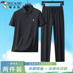 啄木鸟 休闲运动套装男夏季透气短袖T恤男冰丝裤子男中老年POLO衫两件套