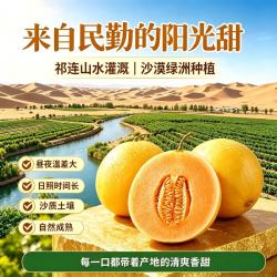 京鲜生 民勤蜜瓜 净重6-7斤 单果2斤起 2粒装