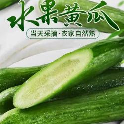 京鲜生 山东奶油黄瓜 2.5斤礼盒装