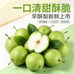 京觅 陕西冰糖早酥梨 单果160g+ 4.5斤