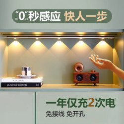 以典 薄智能人体感应led灯充电式长条波纹灯猫眼感应灯山 80cm 人体感应款