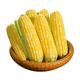 鲜然绿品 云南金银双色玉米 5斤 单果250g+