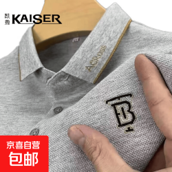 保罗夏季短袖t恤男士翻领刺绣polo衫上衣男大码透气体恤 R08浅灰  2XL