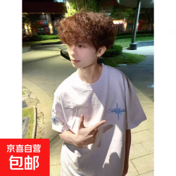 美式潮牌北极星刺绣字母短袖T恤轻奢男女夏季新款宽松纯棉半袖T恤 白色 L