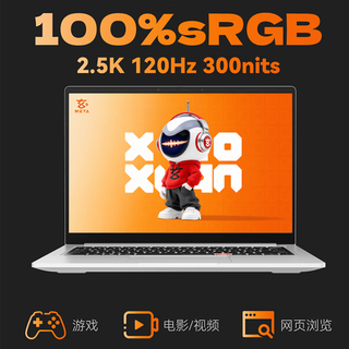 玄派 小玄14Pro R7-8745HS 2.5K 120Hz 16GB+1TB 银色 笔记本电脑