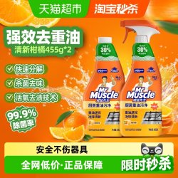 威猛先生 厨房重油污净