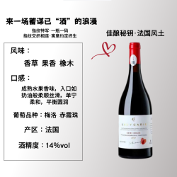 菲特瓦 赤霞珠干红葡萄酒14度半甜红单支装 750ml