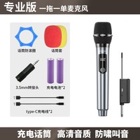 移动端：山水 充电专业无线话筒降噪麦克风K歌演出舞台一拖二户外KTV通用麦