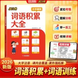 当当网提分兽2026新版小学词语积累大全训练人教版 词语积累归类大全二二年级小学语文词语积累