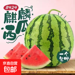 夏日必备水果 8424麒麟西瓜  红沙瓤 嘎嘎甜 麒麟西瓜6斤-8斤