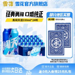 雪花 勇闯天涯啤酒 330ml*24听