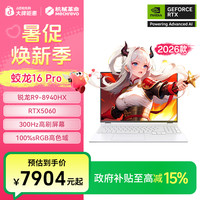 机械革命 蛟龙16pro  R9-8940HX RTX5060 16GB 512GB高端游戏本