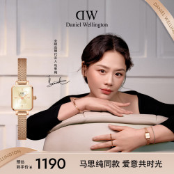 Daniel Wellington DW女表全新复古小方糖钢带石英腕表DW00100651