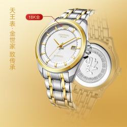 天王 手表男 生日礼物18K金LOGO男表钢带机械GS5825T1.D.T1.KW-1