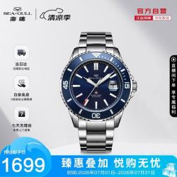海鸥 海洋系列 44毫米自动上链腕表 816.523 蓝盘