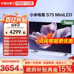 小米 S75 MiniLED 704高分区288Hz超高刷液晶平板电视机