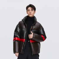 波司登 17717A7B 90鹅绒 古铜褐 XL 男士羽绒服
