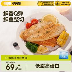 小黄象 橄榄油香煎鱼排500g 去骨去刺无抗罗非鱼排 儿童营养代餐