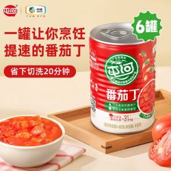 屯河 番茄丁 390g*6罐 西式酱料
