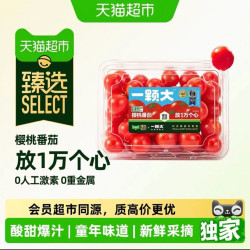 一颗大 樱桃番茄精品粒装 428g*4盒 礼盒装