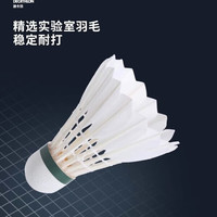 迪卡侬 羽毛球耐打粉色专业训练比赛羽毛球77速 12只