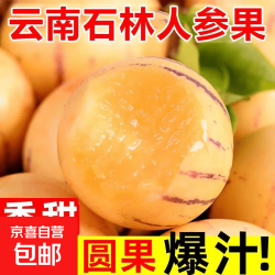 京喜 现摘人参果石带箱1斤单果30g起净重0.8斤
