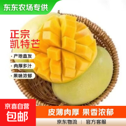 京喜 四川凯特 芒果 新鲜水果甜心芒果热带现摘青黄皮 芒果整箱水果 凯特芒带箱1斤(单果200g+)