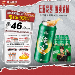 珠江啤酒 特制纯生 9°P 500mL*12罐