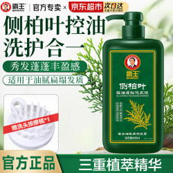 霸王 侧柏叶控油蓬松洗发液600ml+赠按摩梳