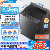 美的 安静洗波轮全自动洗衣机 10kg  V36DT
