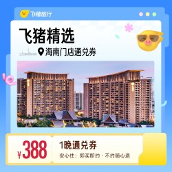 飞猪精选海南区域酒店通兑 1晚