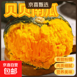京喜 正宗贝贝南瓜  单果重250g以上*带箱 2斤