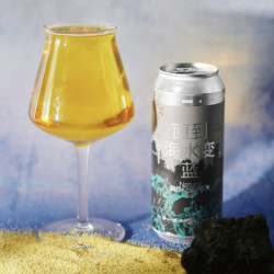 纸飞机酿造 直到海水变蓝 社交IPA啤酒 473ml 单瓶