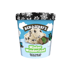 BEN&JERRY'S 巧克力冰淇淋 465ml