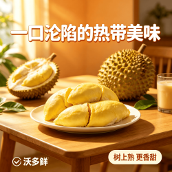 沃多鲜 泰国金枕头榴莲肉 500g