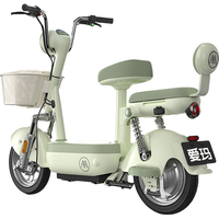爱玛 小金豆 48V21Ah石墨烯电池 锡林浅绿 电动自行车