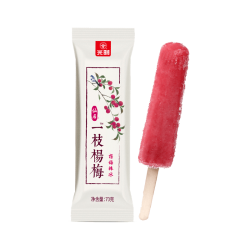 光明牌 光明一支杨梅棒棒冰雪糕冰淇淋冷饮冰激凌70g 70克一支杨梅棒冰(2