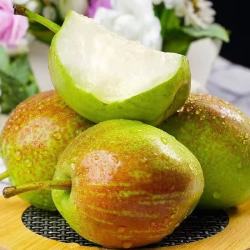 远达 河北正宗香梨5/10斤整箱新鲜水果梨子应季当季脆甜多汁薄皮 净重4.5斤实惠装