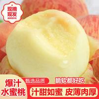 生活&好管家 山西水蜜桃 3斤尝鲜装