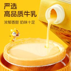 皇家小虎 中国大陆 蛋挞套装 大挞皮60个+挞液4盒