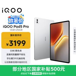 iQOO Pad5 Pro 13.0英寸 Android 平板电脑 (2.8-3.2K、天玑 9400+、12GB、256GB、WiFi版、银翼)