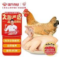 温氏 供港三黄鸡 1kg