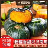 京喜加 贝贝南瓜新鲜当季广西贝贝南瓜粉糯香甜孕妇婴儿辅食蔬菜 贝贝南瓜带箱 2斤 粉糯香甜