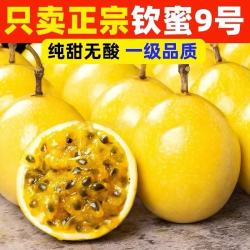 钦蜜9号黄金百香果当季大果新鲜水果鹏贸 百香果10粒中果45-60g