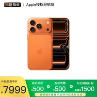 Apple iPhone 17 Pro 手机 双卡双待 顺丰发货